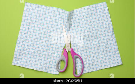 a sheet of white paper cut in half with scissors in a blue box on a green background, top view Stock Photo