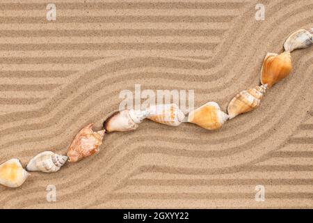 Frame made of seashell lying zigzag, on wavy sand. View from above Stock Photo