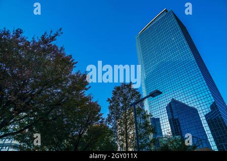 Sky of Shinjuku of buildings and autumn. Shooting Location: Tokyo metropolitan area Stock Photo