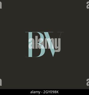 Initial BV uppercase letter icon logo Stock Vector