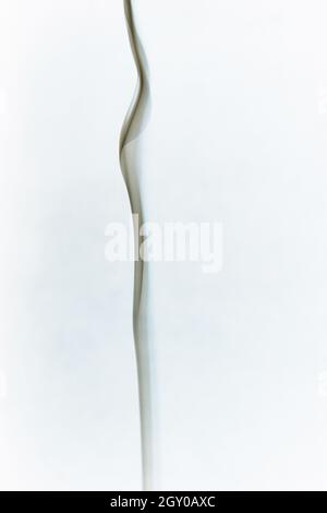 Smoldering greenish gray smoke on a white background Stock Photo