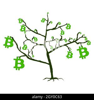 Tree with leaves from bitcoins isolated white. Bitcoin growth concept. Vector illustration. Stock Vector