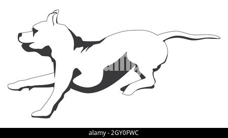 Outline running brindle Staffordshire terrier or pitbull isolated on white. Vector illustration. Stock Vector