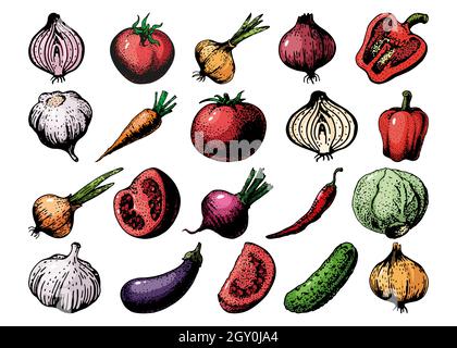 assorted vegetables illustration, Vegetable Fruit Vegetal Drawing Dessin  animxe9, Hand-painted cartoon vegetables cartoon