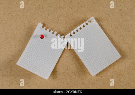 Two checkered pages pinned vertically against a brown background. Torn blank sheets from the notepad on a spring. Side view. Copy space Stock Photo