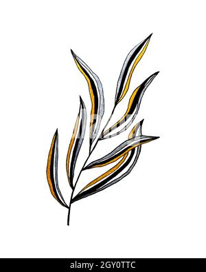 Branch decorative striped doodling, tracing, element for design, decor, hand drawing, isolated, on a white background. Vector illustration Stock Vector