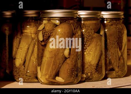 Homemade Pickles in mason jars sitting in a pantry Stock Photo