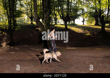 young woman running through the woods with a dog on a canicross training Stock Photo