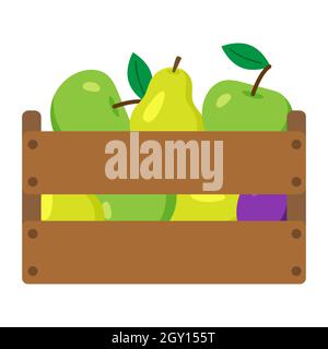 Wooden box with harvest fruits. Apples, pears and plums in it. Farmers harvest, crop. Fresh organic fruits. Food for vegan and good nutrition Stock Vector