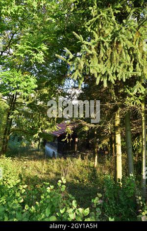A house among trees, barely visible among the bushes on a sunny summer day. Summer. Stock Photo