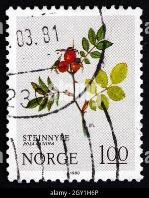 NORWAY - CIRCA 1980: a stamp printed in the Norway shows Dog Rose, Rosa Canina, Deciduous Shrub, circa 1980 Stock Photo