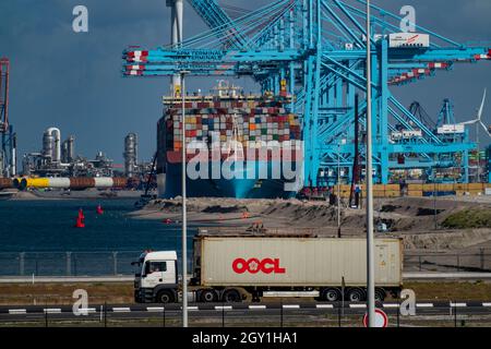 The seaport of Rotterdam, the Netherlands, deep-sea port Maasvlakte 2, on a man-made land area off the original coast, APM Container Terminals, Maersk Stock Photo