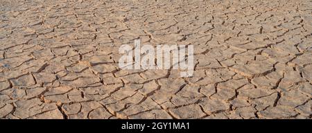 Cracked brown mud panorama, surface texture of barren land Stock Photo