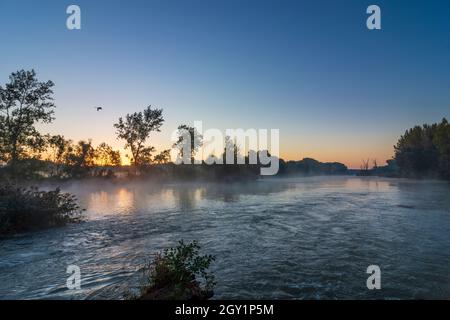Szigetköz (Little Rye Island, Kleine Schüttinsel): anabranch of river Danube, sunrise, flying swan in , Györ-Moson-Sopron, Hungary Stock Photo