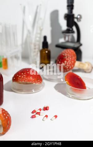 Fly agaric mushrooms. Amanita microdosing is the use of dried mushrooms in literally microscopic dosage. Stock Photo