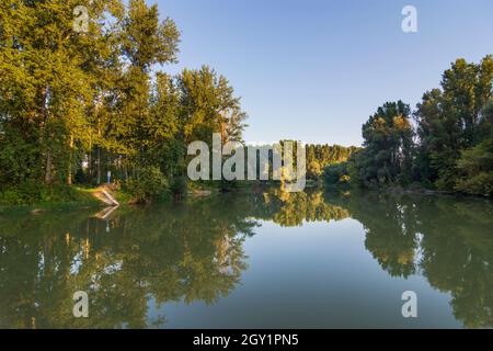 Szigetköz (Little Rye Island, Kleine Schüttinsel): anabranch, arm of river Danube, forest in , Györ-Moson-Sopron, Hungary Stock Photo