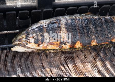 salmon stuffed with herbs grilling on the barbecue Stock Photo