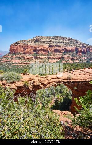 Large multicolored rocky canyon like outcropping rises above scrubby desert trees Devils Bridge Stock Photo