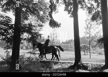 Reiter bei einem Reitausflug im Wald bei Freudenstadt, Deutschland 1930er Jahre. Riders on a horse-riding trip in the woods near Freudenstadt, Germany 1930s. Stock Photo