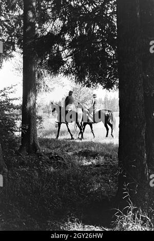 Reiter bei einem Reitausflug im Wald bei Freudenstadt, Deutschland 1930er Jahre. Riders on a horse-riding trip in the woods near Freudenstadt, Germany 1930s. Stock Photo