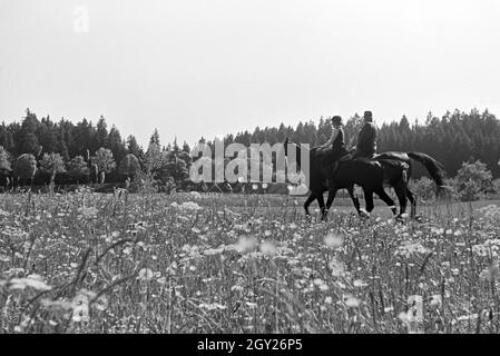 Reiter bei einem Reitausflug im Wald bei Freudenstadt, Deutschland 1930er Jahre. Riders on a horse-riding trip in the woods near Freudenstadt, Germany 1930s. Stock Photo