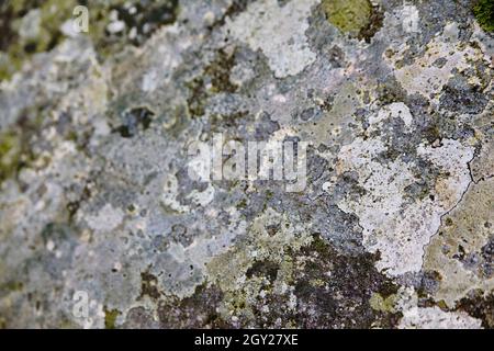 Textured and multicolored rock background Stock Photo