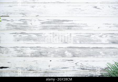 Crackled paint finish on white wood planks. Aged reclaimed barn wood. White antique faded rough wood surface. Stock Photo