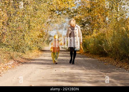 Young woman walks along road with little daughter among yellow trees in autumn, holding hands on sunny day, yellow leaves Stock Photo