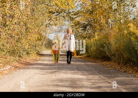 Young woman walks along road with her little daughter among yellow trees in autumn, holding hands on sunny day, yellow leaves Stock Photo