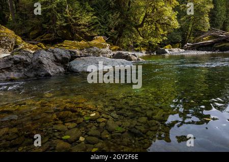 Moss-covered rocks along the North Fork Skokomish River at Staircase in Olympic National Park, Washington State, USA