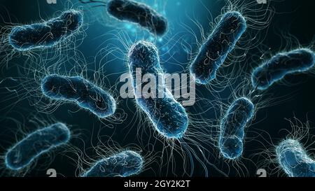 Colony of bacteria close-up 3D rendering illustration on blue background. Microbiology, medical, biology, bacteriology, science, medicine, infection, Stock Photo