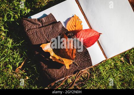 Overhead Image of an open notebook with autumn leaves on the grass in the afternoon sun Stock Photo