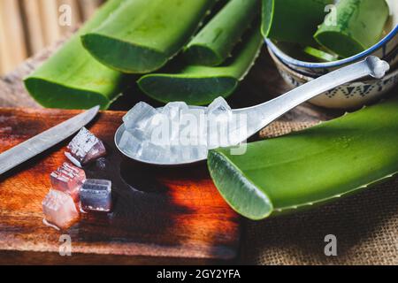 Spoon with ice cubes and fresh green Aloe Vera leaves Stock Photo