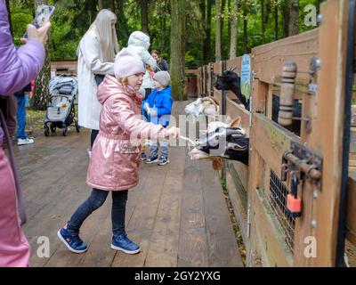 Moscow. Russia. September 25, 2021. A little girl feeds carrots to goats at the petting zoo. Close communication of children with animals. Stock Photo