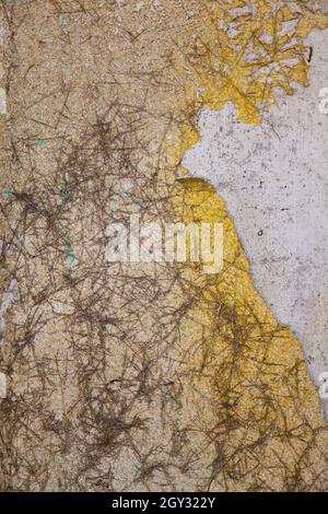 Aged and peeling concrete wall that is white and yellow Stock Photo