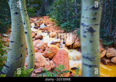 View between aspen trees of colorful red rock river in the hills Stock Photo