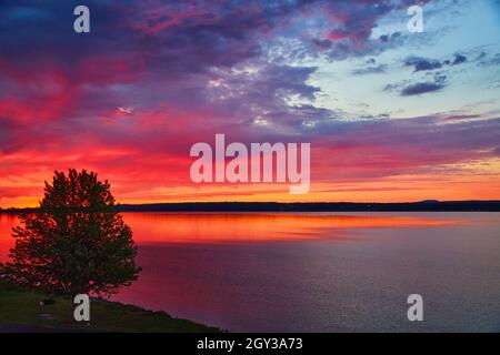 Vibrant red and orange sunset over lake with lone tree Stock Photo