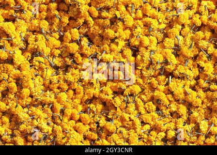 seamless texture background for design Stock Photo