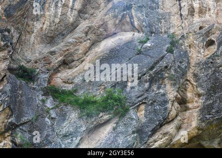 Texture of sheer rock with some green vegetation Stock Photo
