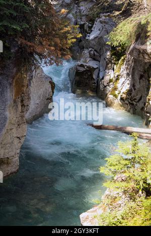 A small waterfall in a river running between two steep rock walls.  There is a fallen tree laying across the pool below. Stock Photo