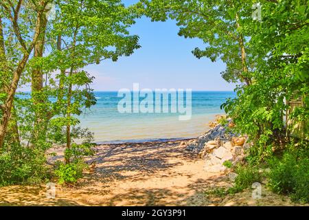Tunnel of vibrant green trees on beach with view of lake water Stock Photo