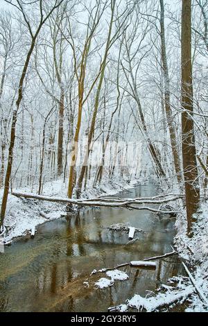 Vertical of river surrounded by trees covered in snow Stock Photo