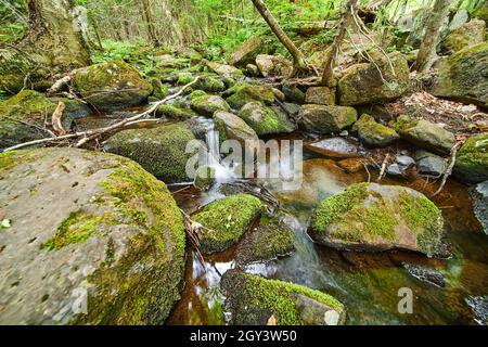 Close-up of small creek with tiny falls over very mossy rocks Stock Photo