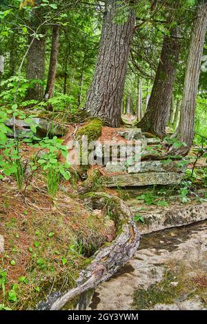 View up close of stacks of mossy rocks and tree roots Stock Photo