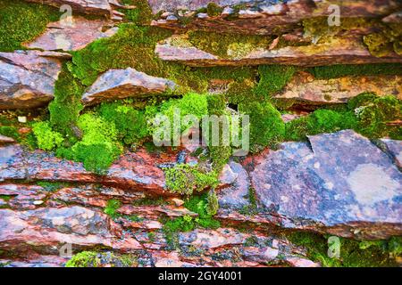 Chunks of moss and slates of red rock detail on canyon wall Stock Photo