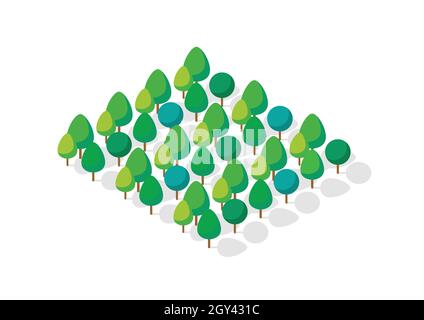 Isometric 3d trees forest. Vector illustration Stock Vector