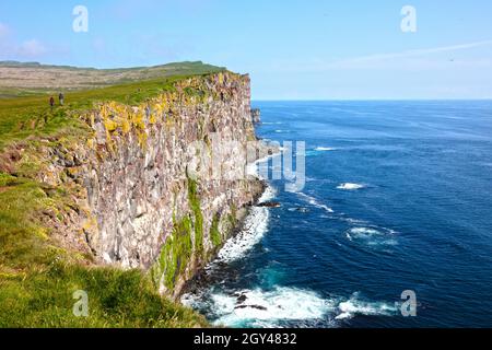 These majestic high cliffs are in Latrabjarg promontory, westernmost point in Iceland - Home to millions of birds, they re Europe's largest bird cliff Stock Photo