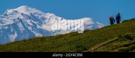 Green landscape of Charamillon in Chamonix in Haute Savoie in France Stock Photo