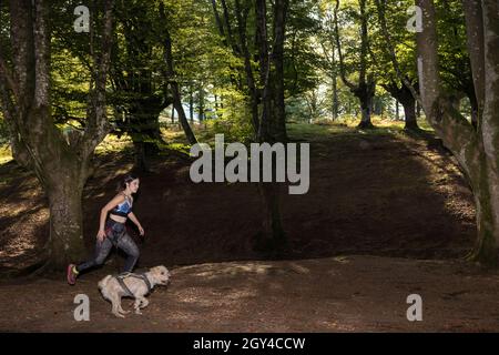 young woman running through the woods with a dog on a canicross training Stock Photo