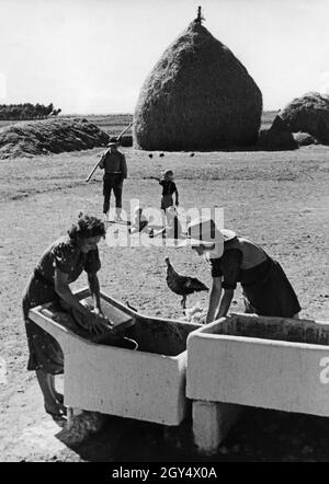 An Italian peasant family in the colony of Italian Libya during their working day. The women are washing clothes in a large trough, in the background three children are sitting with their father who is coming from working in the fields with a pitchfork. In the far back, dried hay is piled in a large heap. Undated photograph, probably taken in the 1930s. [automated translation] Stock Photo